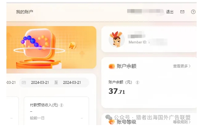 国内和国外广告联盟市场环境