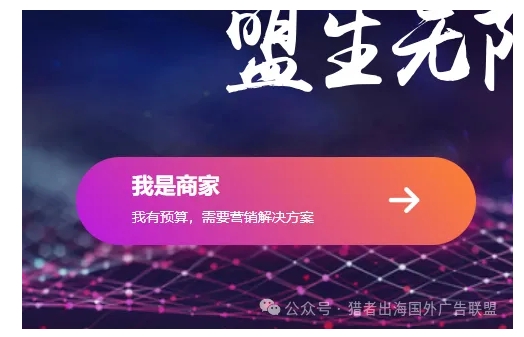 国内和国外广告联盟市场环境