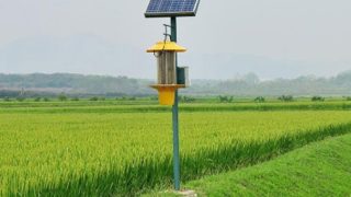 从niche利基站项目看项目赛道筛选逻辑