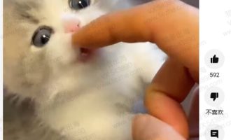 YouTube搬运视频赚美金，每月可赚1万美金