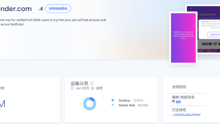 国外美足控平台FeetFinder，销售美足图片赚美金
