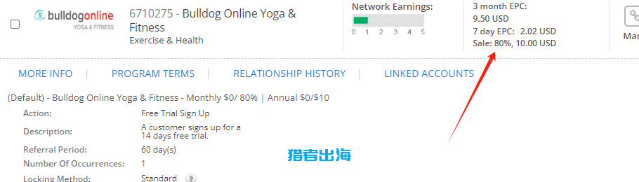 独立站常见赚钱方式（三）：销售虚拟资源/虚拟产品