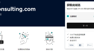 国外域名投资，域名买卖生意赚美金项目