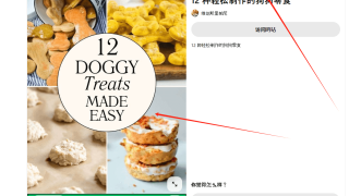 利用Pinterest推广宠物电子书赚钱，每月收入675美金