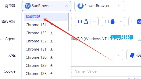 adspower指纹浏览器怎么用，附代理IP使用教程全攻略