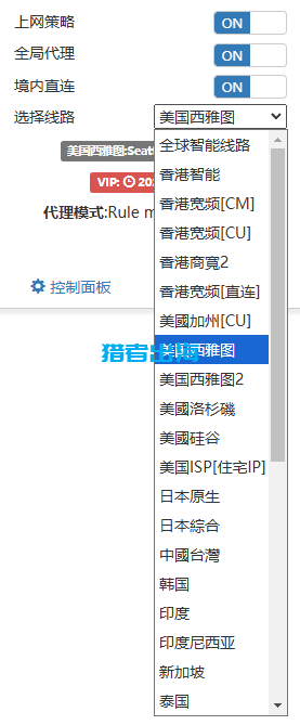 海外网络访问：动态IP和静态IP的作用和区别