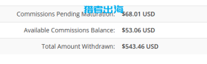 独立站常见赚钱方式（五）：联盟营销