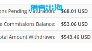 独立站常见赚钱方式（五）：联盟营销