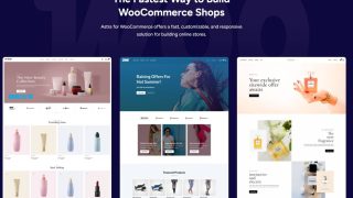 Astra PRO主题插件破解版-WordPress电商、博客等多功能主题