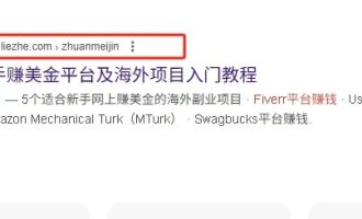 WordPress使用中文URL路径是否会影响google SEO？全面解析与优化建议