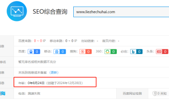 老域名/域名年龄对网站SEO排名优化影响