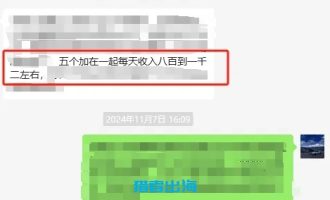 SEO站群+竞价，垄断行业关键词排名，年销2000万+