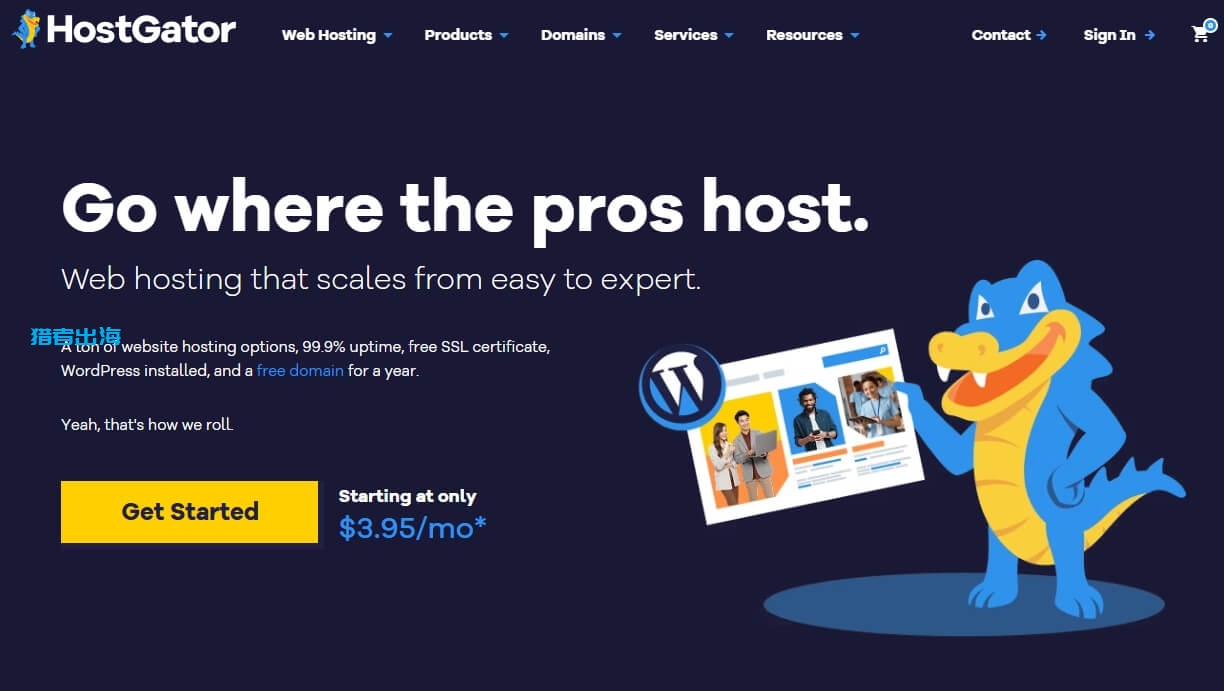HostGator怎么样？2025年HostGator vps主机详细测评