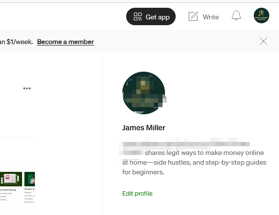国外Medium MPP自媒体AI写作赚美金项目