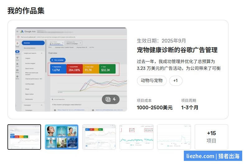 Google Ads代运营freelancer真实作品集案例：宠物健康诊所谷歌广告管理ROAS数据