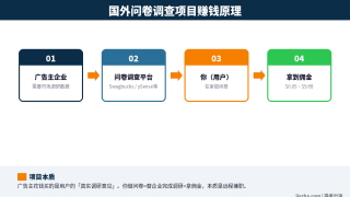 国外问卷调查项目详解：如何月入1000美金和5个主流平台实测