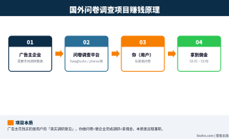 国外问卷调查项目详解：如何月入1000美金和5个主流平台实测