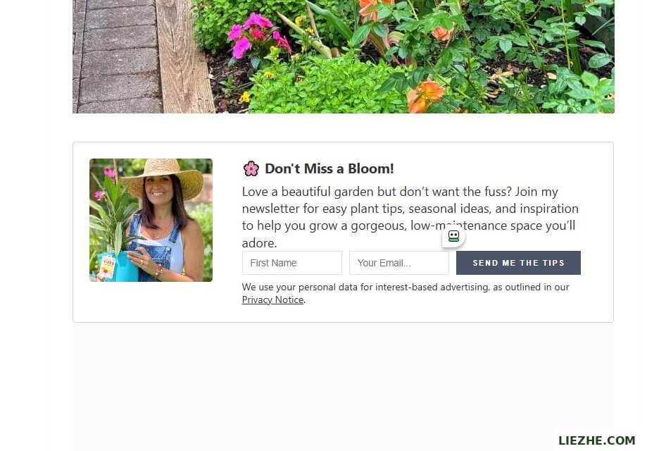 stacyling.com网站底部的邮件订阅表单 - Don't Miss a Bloom