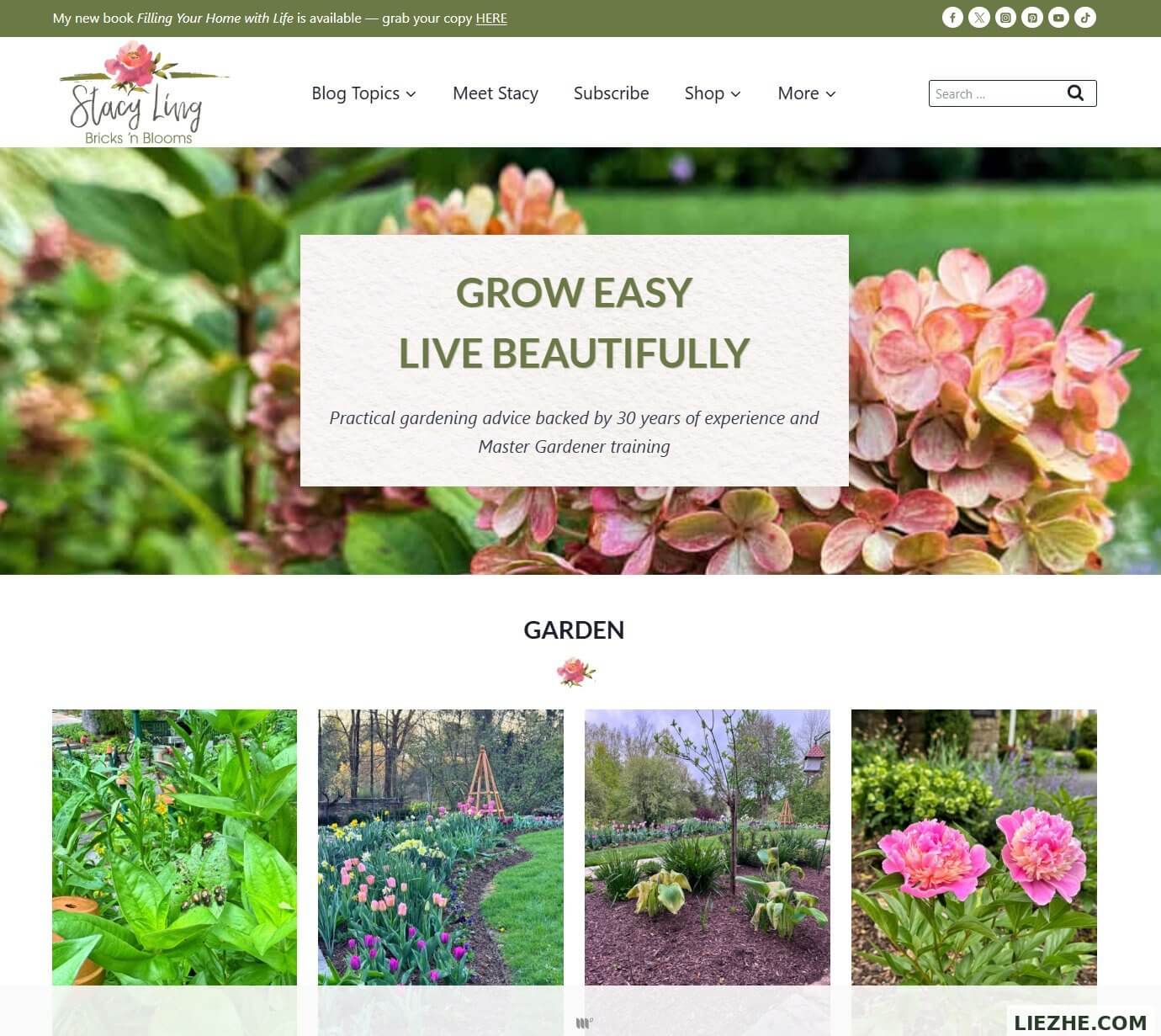 stacyling.com 网站首页截图 - Bricks 'n Blooms with Stacy Ling