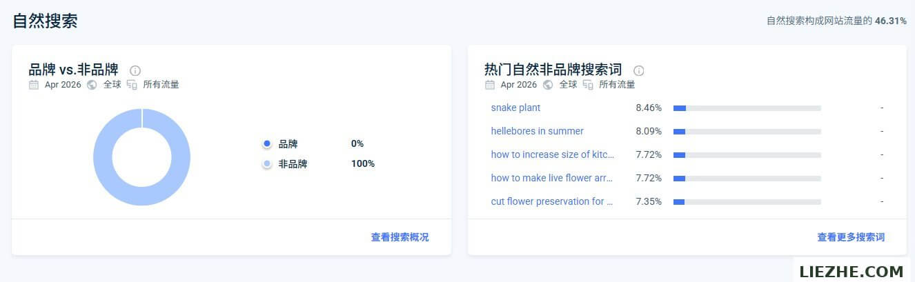 stacyling.com的热门自然搜索关键词分布