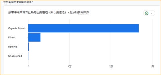 中文虚拟资源独立站流量来源Organic Search自然搜索占比
