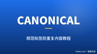 什么是Canonical标签？零基础3分钟搞懂防重复内容（附WordPress设置）