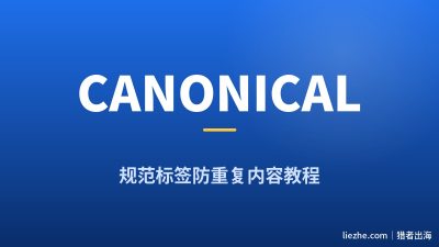 什么是Canonical标签？零基础3分钟搞懂防重复内容（附WordPress设置）