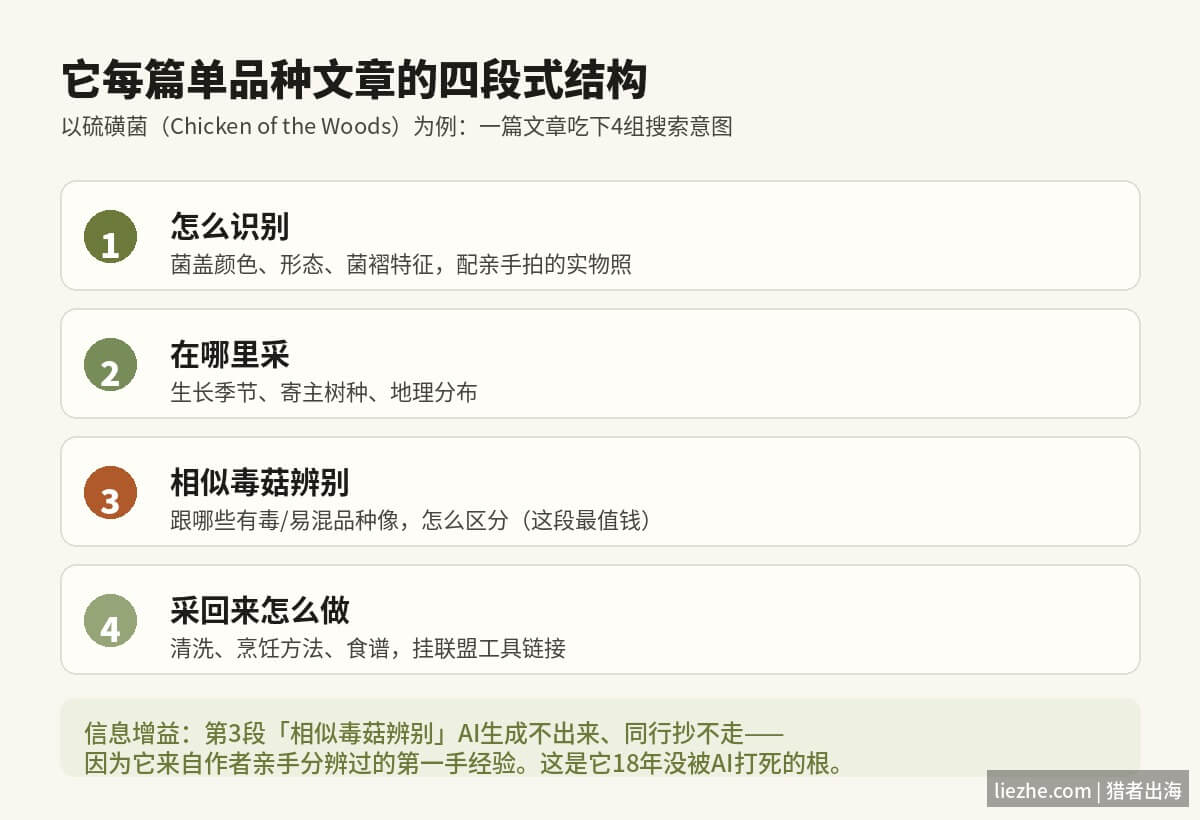 单品种蘑菇文章识别采集相似毒菇做法四段式结构