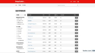 国外域名抢注赚钱：怎么筛选过期域名和5种变现方式赚美金完整指南