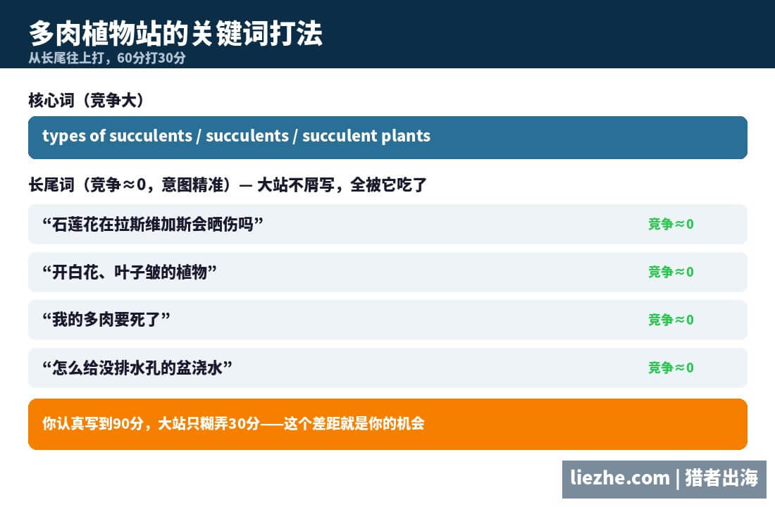 多肉植物站关键词长尾打法示意图