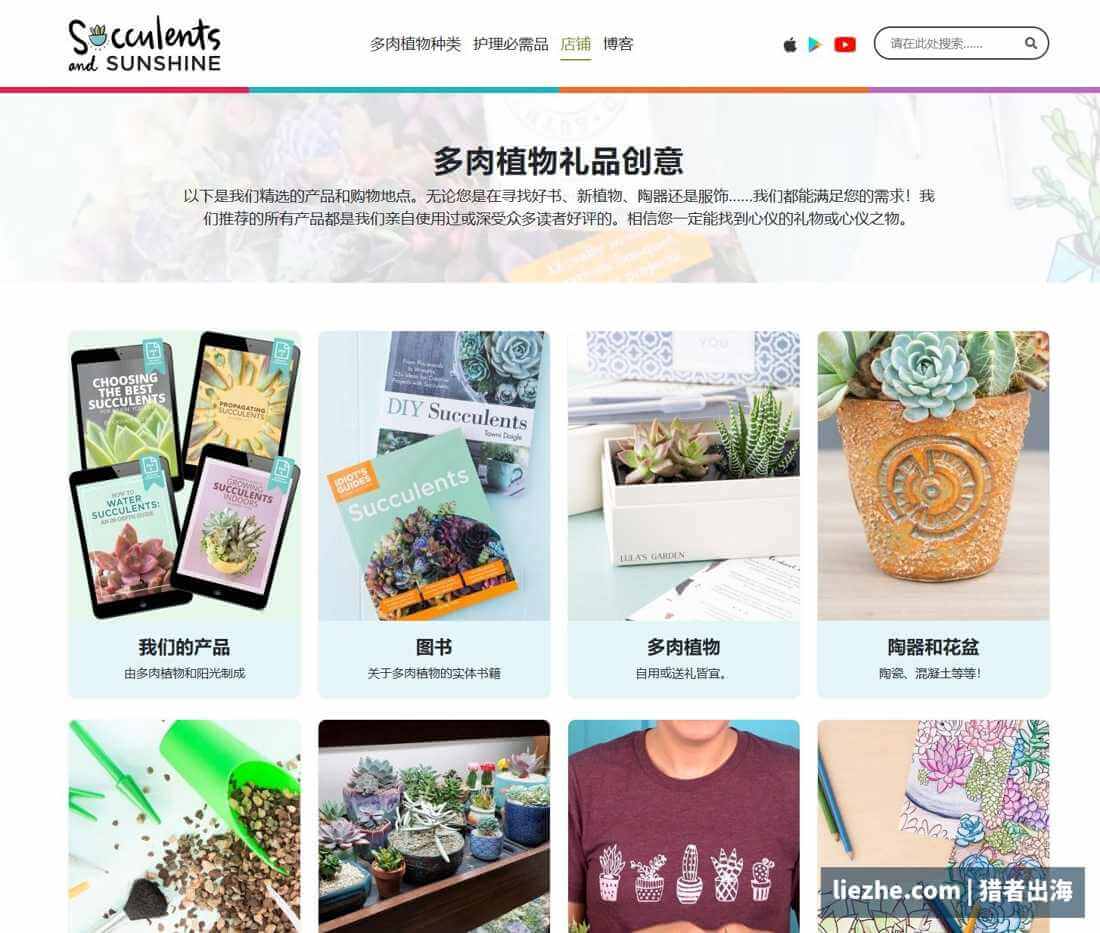 多肉植物站店铺产品页电子书实体书花盆周边