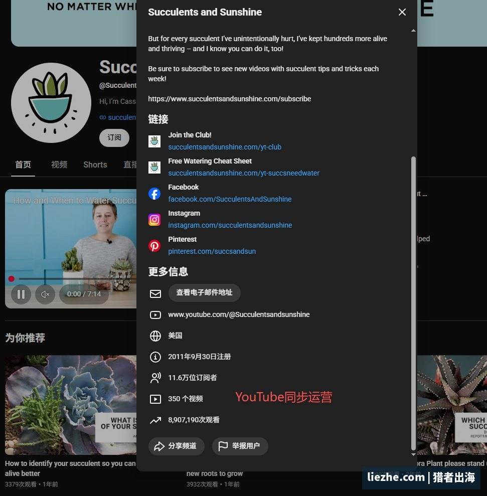 多肉植物站YouTube频道商店卖3D打印花盆