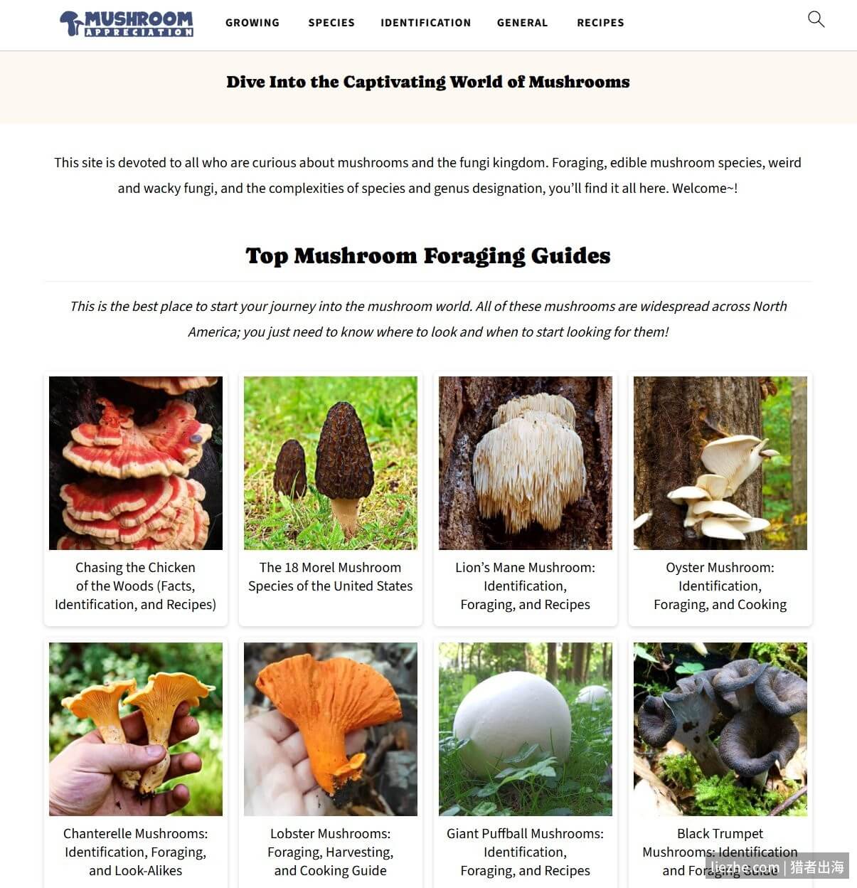 Mushroom-Appreciation.com首页截图蘑菇识别与采集内容站