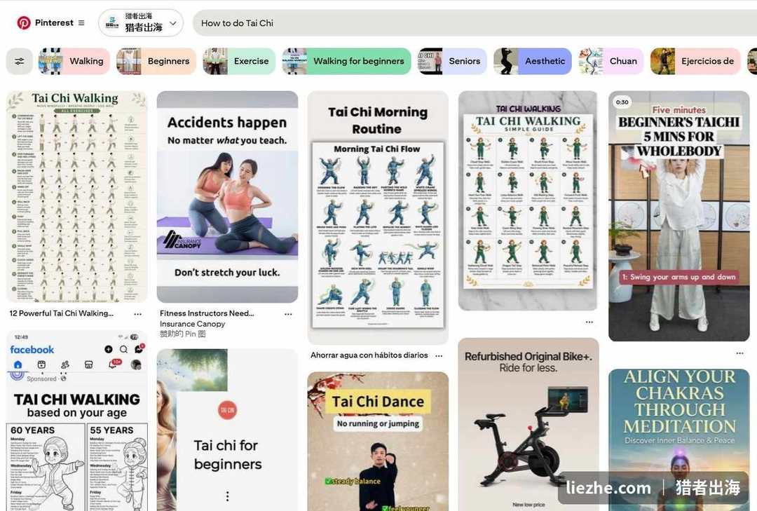 Pinterest搜索How to do Tai Chi结果，满屏太极图解适合引流