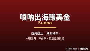 中国文化出海唢呐项目：从0做成海外账号赚老外美金