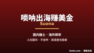 中国文化出海唢呐项目：从0做成海外账号赚老外美金