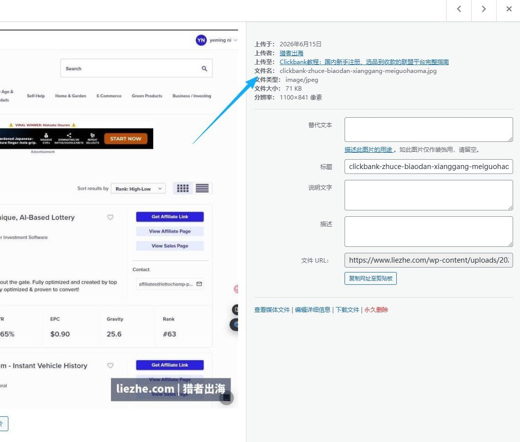 WordPress媒体库替代文本Alt输入框位置