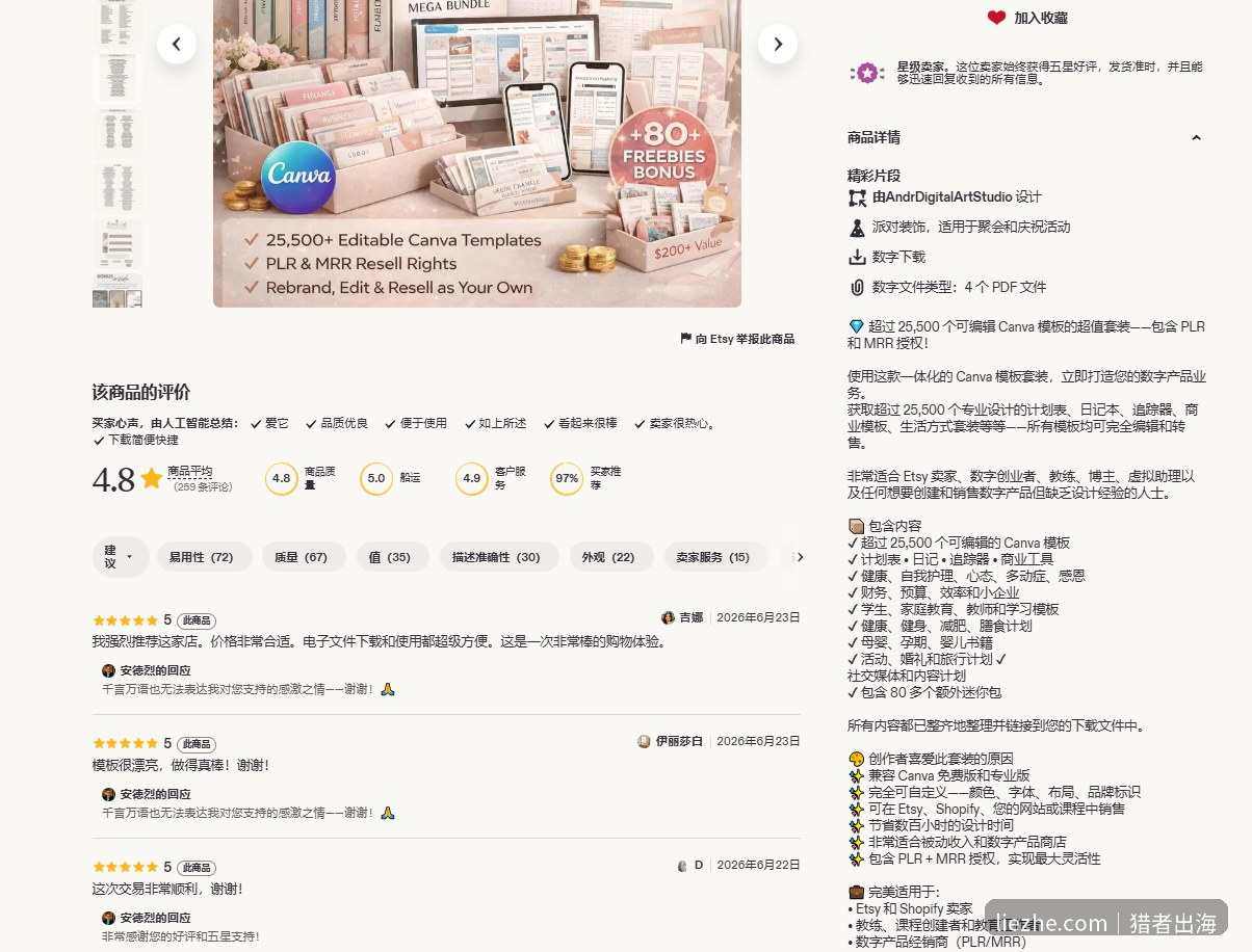 Etsy上Canva模板套装商品详情页,数字文件类型为PDF