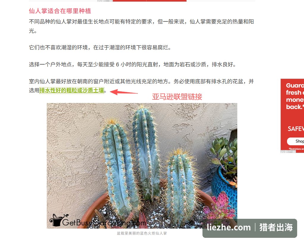 getbusygardening文章内原创实拍图与亚马逊联盟链接