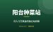 阳台种菜独立站拆解：从月入几万美金到被AI砍半的复盘
