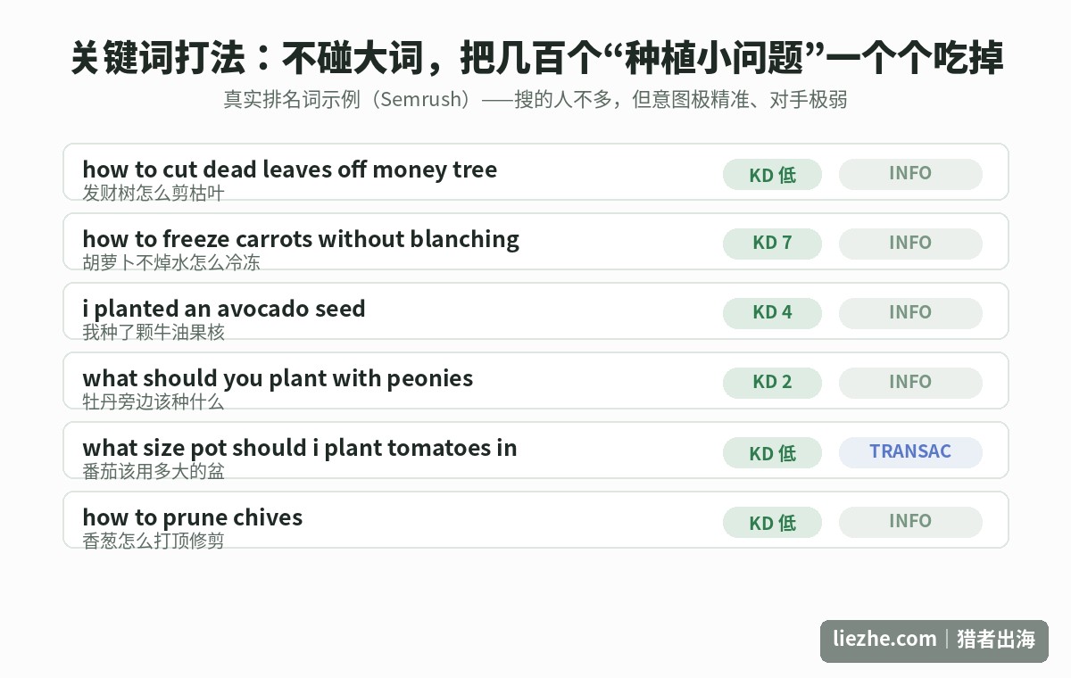 getbusygardening长尾关键词打法真实排名词示例