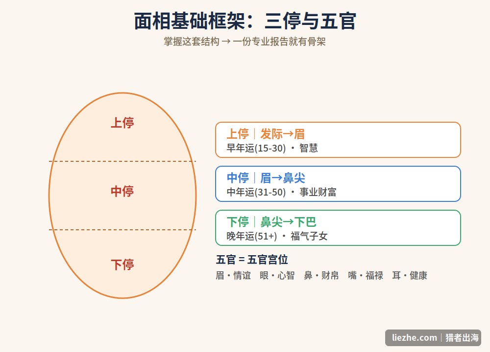 面相基础框架三停与五官图解