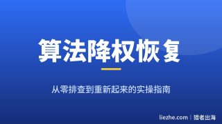 网站被谷歌算法降权了怎么恢复：从零排查到重新起来的完整实操指南
