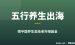 五行养生出海项目拆解：零基础靠英文内容站把中医养生卖给老外赚美金