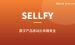 数字产品赚钱教程：零基础怎么用Sellfy卖数字产品赚美金、能赚多少