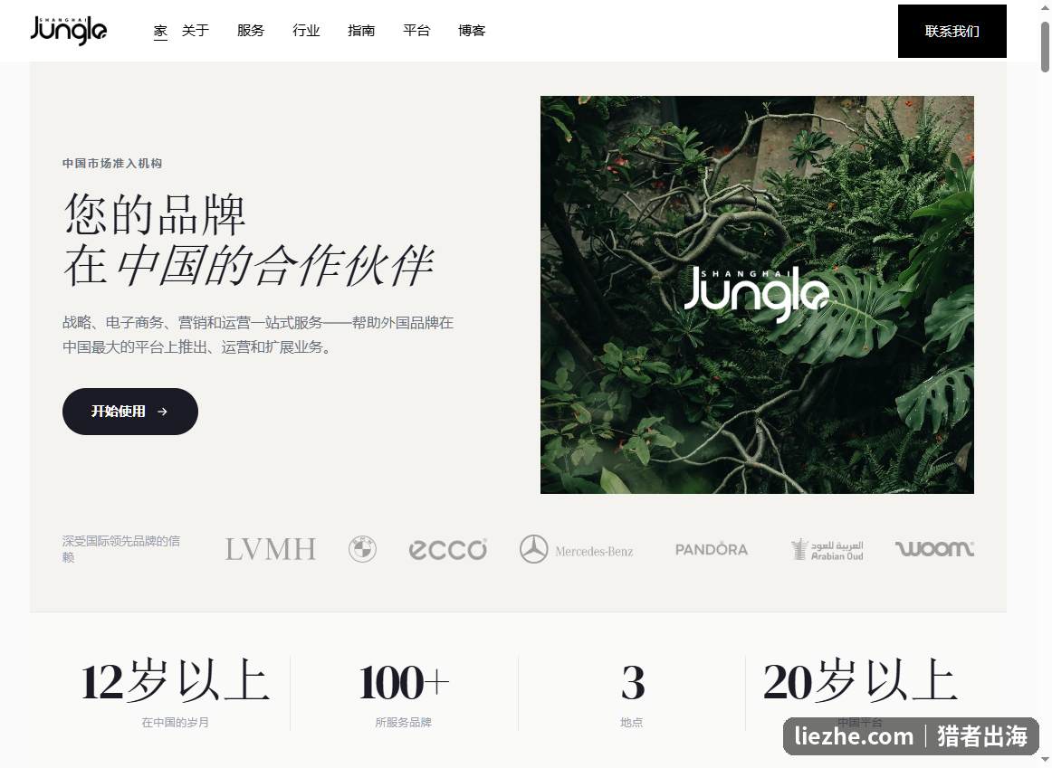 Shanghai Jungle等TP代运营机构官网,服务LVMH宝马等国际大牌
