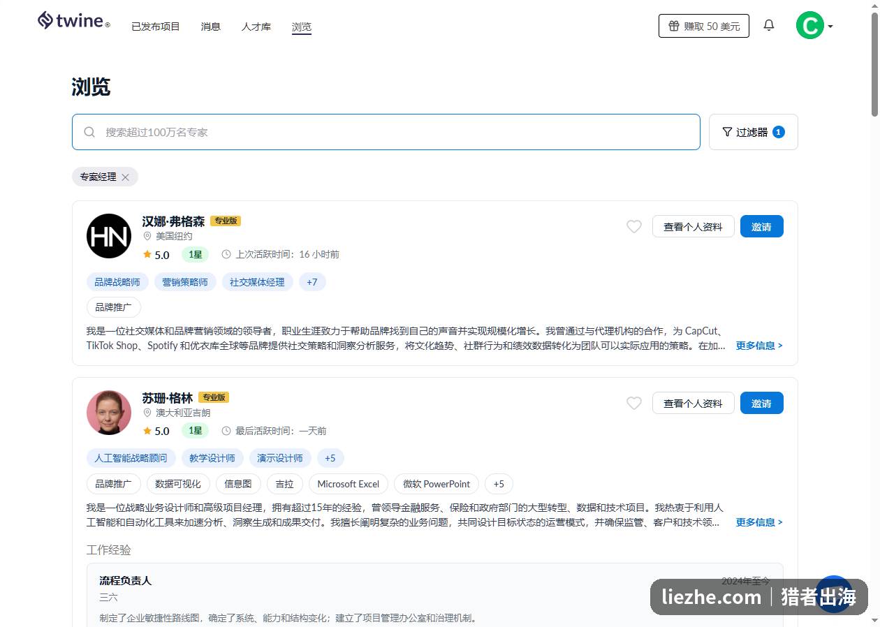 Twine平台浏览页展示品牌战略与AI战略顾问人才