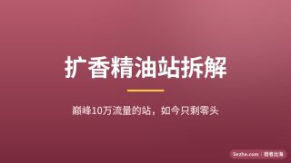 精油扩香独立站案例拆解：从月10万流量跌到1800的完整教训