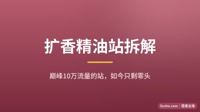 精油扩香独立站案例拆解:从月10万流量跌到1800的完整教训