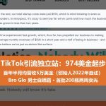 TikTok引流独立站：三人974美金起步，靠自然流量首年半月均营收5万美金